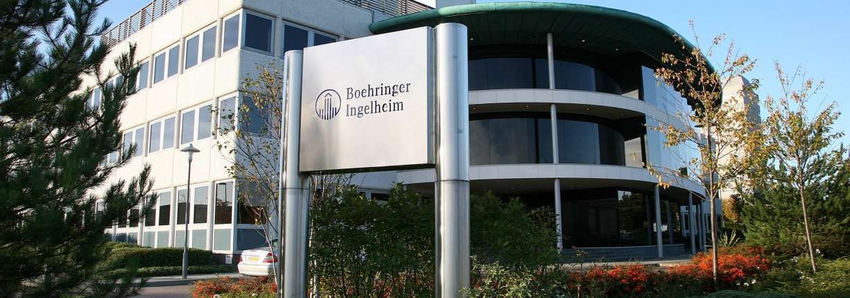 image of the Bi building