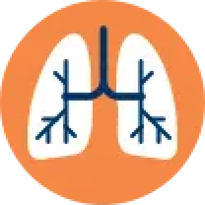 Icon depicting Usual interstitial pneumonia (UIP)