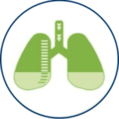 Green icon of a lung in a blue circle