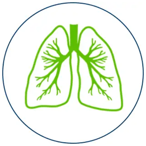 Green lung icon in blue circle