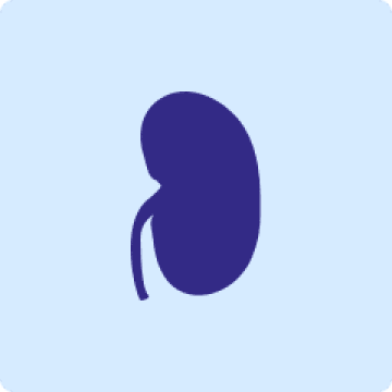 Kidney safety profile