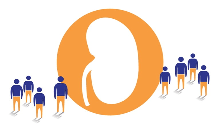 TRAJENTA® (linagliptin) mechanism of action