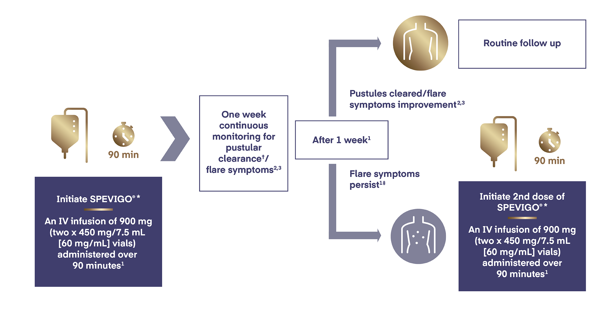 Recommended dose of SPEVIGO®.