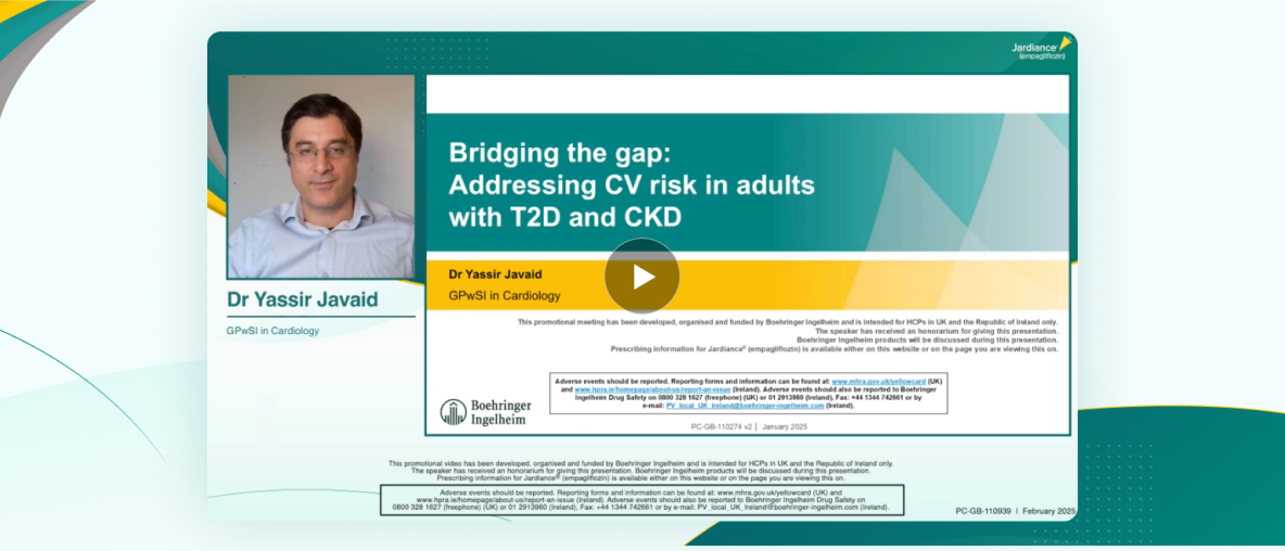 Bridging the Gap webinar highlights video