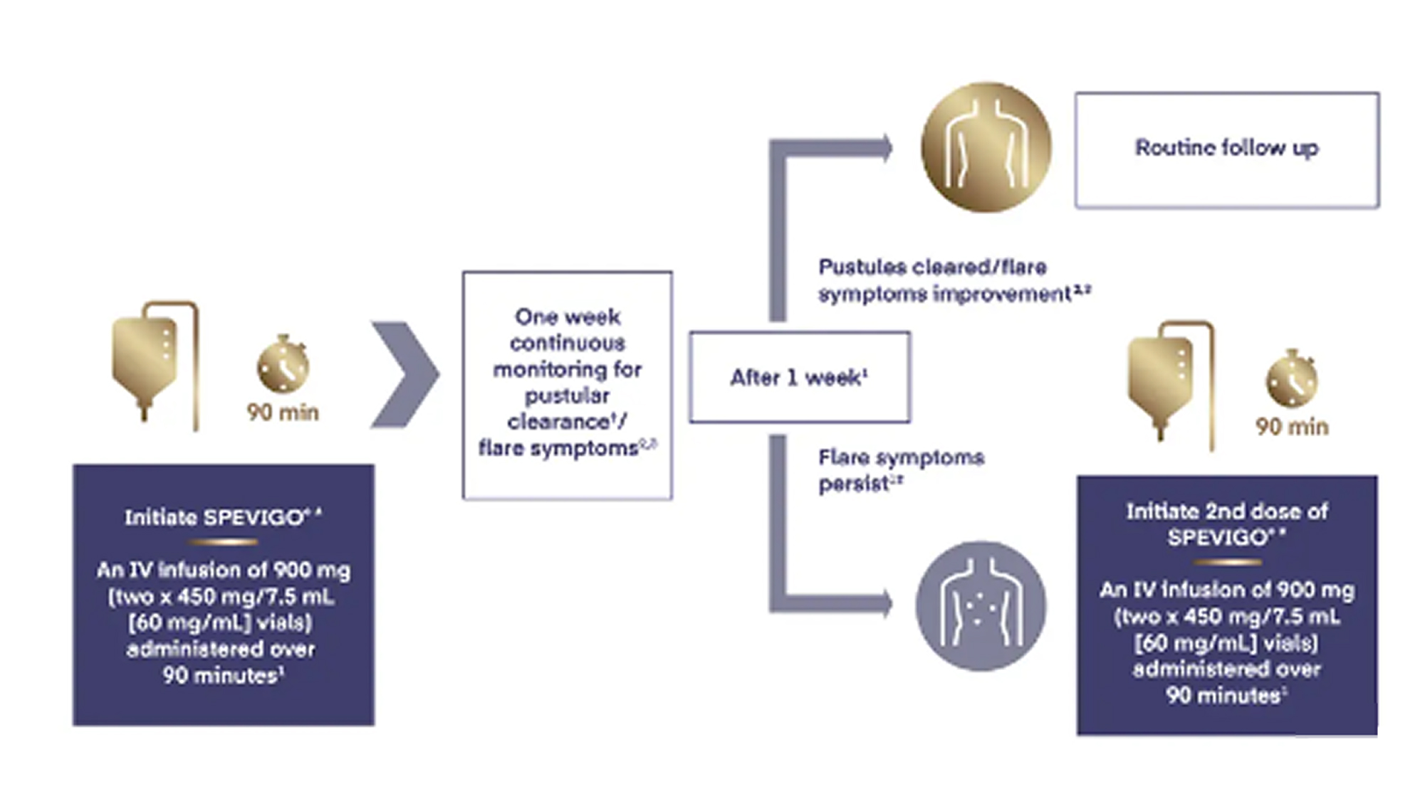 Treat GPP flares with SPEVIGO®