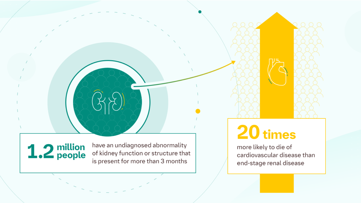 CKD burden infographic