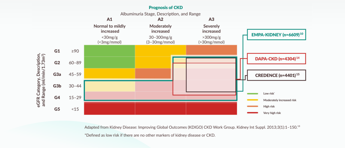 Prognosis of CKD infographic