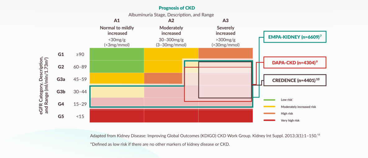 Prognosis of CKD