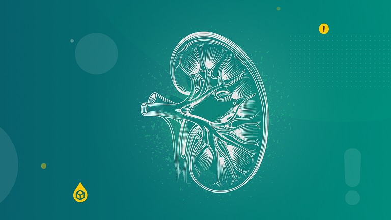 Protect the kidney