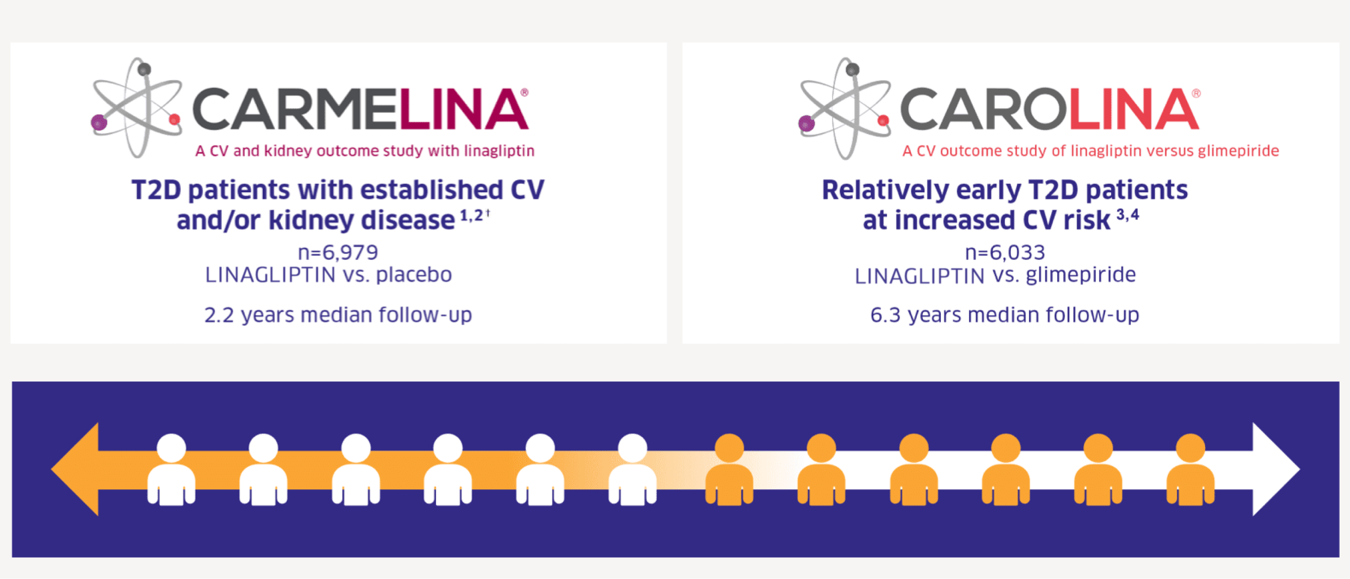 CARMELINA® CAROLINA® People banner