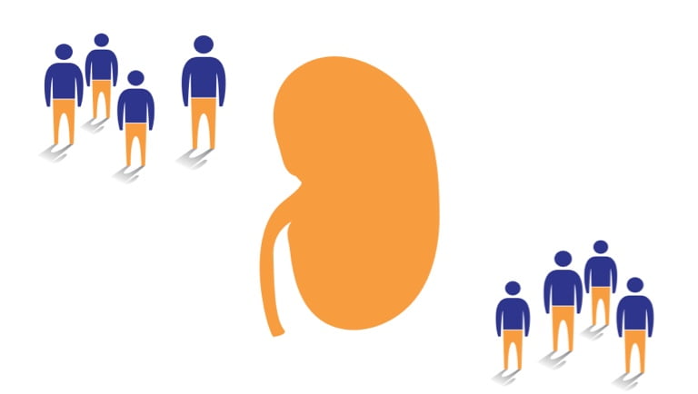 Linagliptin clinical studies