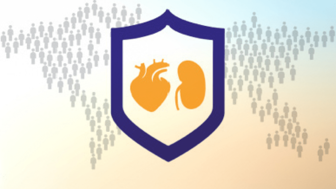 Safety profile